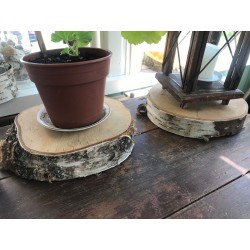 Puukiekot 10 cm, koivu